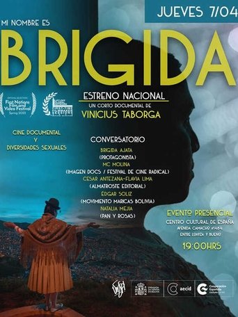 My Name Is Brígida poster