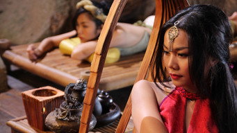 The Lady Assassin (2013)
