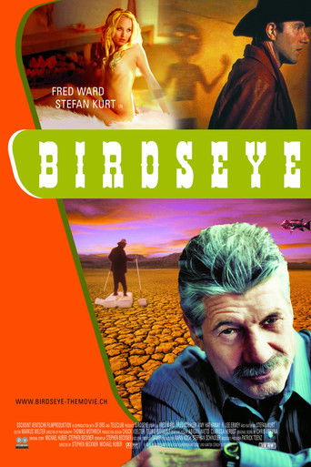 Birdseye poster 3