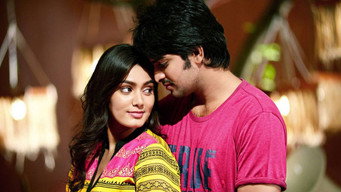 Dikkulu Choodaku Ramayya (2014)