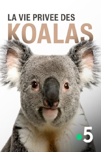 La vie privée des koalas image