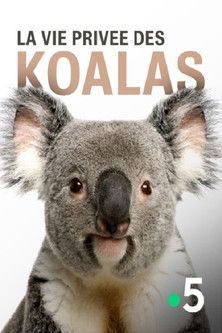 La vie priv&eacute;e des koalas (2019)