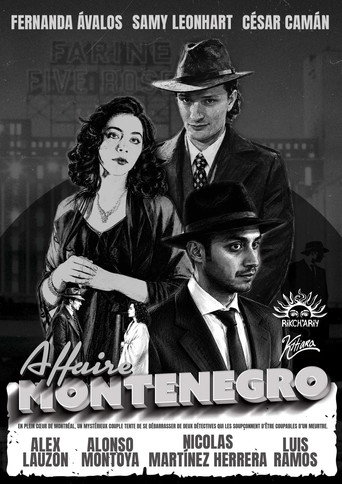 Cartell de Affaire Montenegro