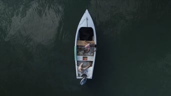 Galeria 5 - Toxic Shark