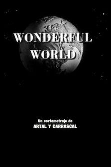 Wonderful World poster
