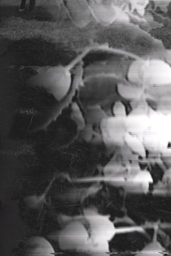 Six Variations on the Same Theme: Third Variation (2020)
