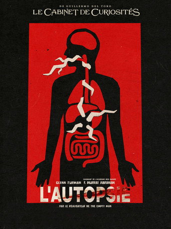 Le Cabinet de curiosités de Guillermo del Toro - S1 - Épisode 2 : Rats de cimetière - Affiche