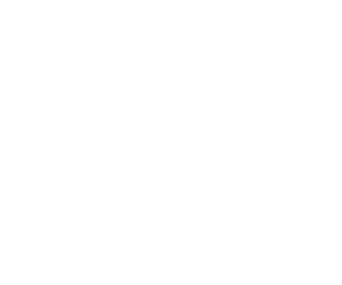 The Thorn Birds logo