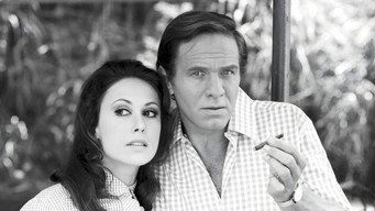 Verão Vermelho (1970)