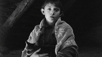 #28 Сатанинське танго