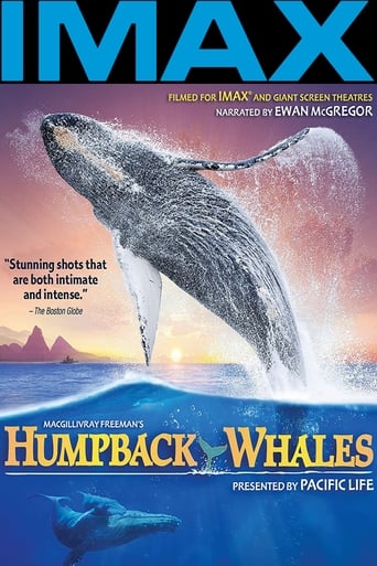 poster Humpback Whales