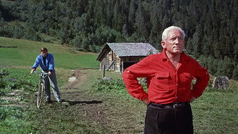#14 The Mountain