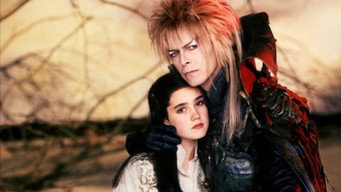 Labyrinth backdrop 10