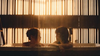 #8 Відтінки