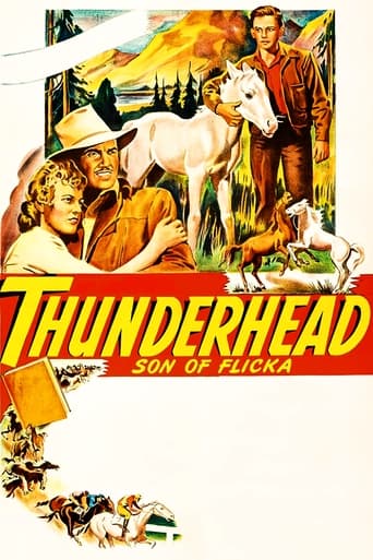 Poster of Thunderhead - Son of Flicka