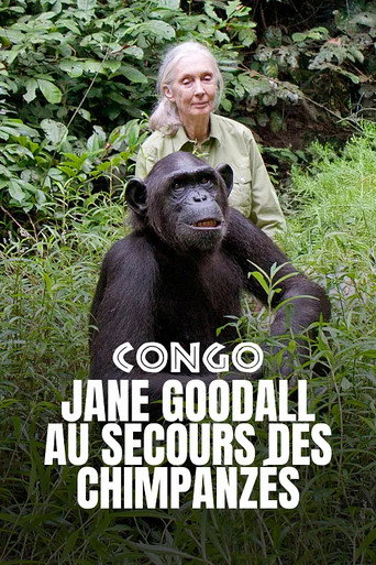 Jane Goodall au secours des chimpanz&eacute;s du Congo (2021)