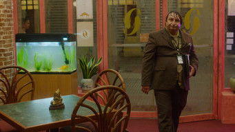 Galeria 5 - El año del tigre