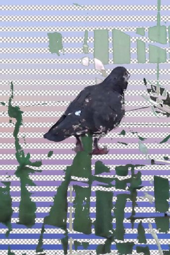 Tugging Diary (2020)