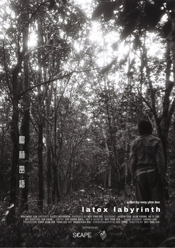 Latex Labyrinth