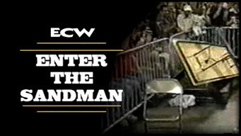 ECW Enter the Sandman 1995 – Szenenbild