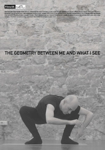 The Geometry Between Me and What I See (2020)