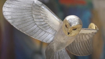 Finding The Golden Owl (2025)