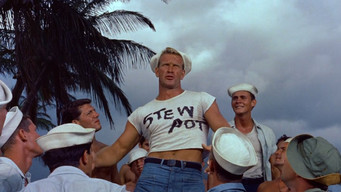 #20 South Pacific