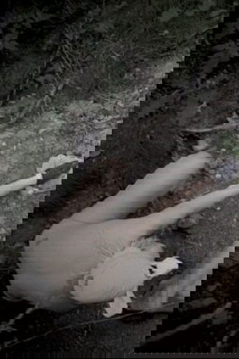 Mutant Island poster