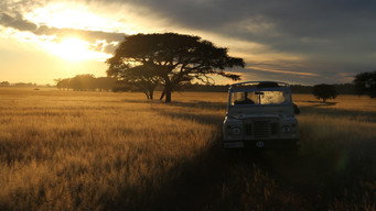 #6 Serengeti Rules