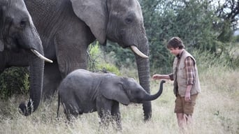 Galeria 5 - Una aventura africana