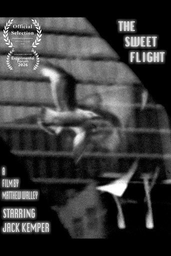 The Sweet Flight galeri 3
