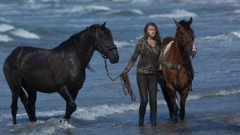 Galeria 2 - Un verano inolvidable