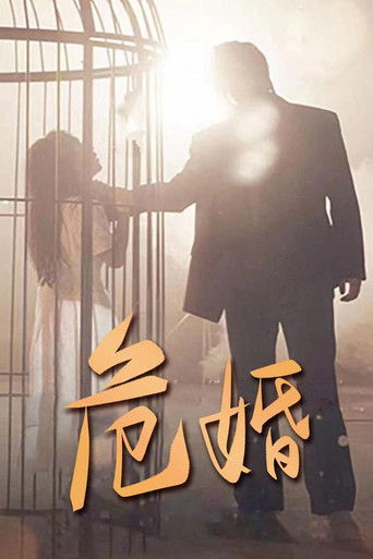 危婚 poster
