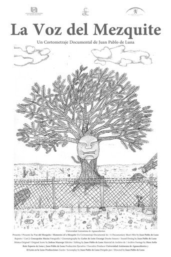 Memories of a Mesquite (2022)