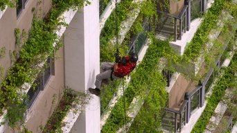 Cena de Joias escondidas