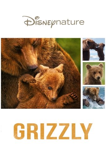 Grizzly en streaming 