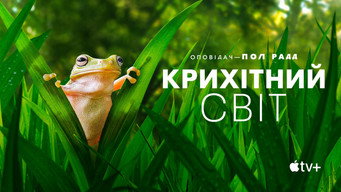 #10 Світ крихітних створінь