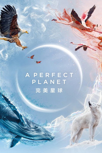 完美星球 poster