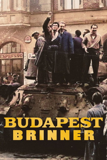 Budapest brinner