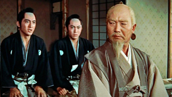 水戸黄門 助さん格さん大暴れ