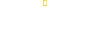 Michael Palin in North Korea logo