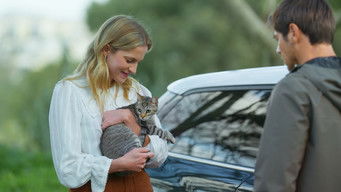 Episode 11 — Episode 11