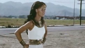 Episode 2 — The Hitchhiker