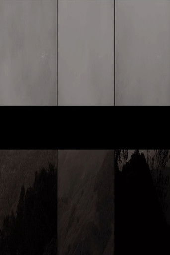 Supervivencias poster