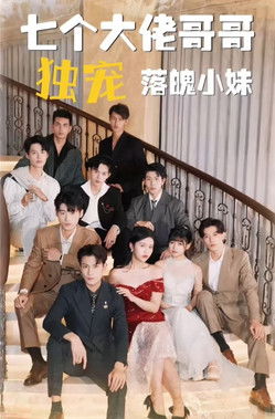七个大佬哥哥独宠落魄小妹 poster