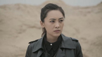 Episode 29