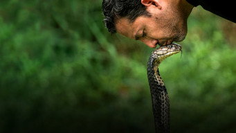 #14 David Blaine: Do Not Attempt