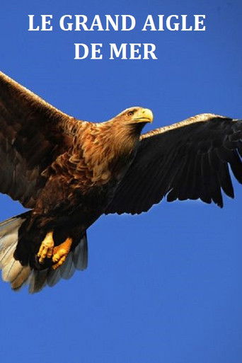 Le grand aigle de mer poster