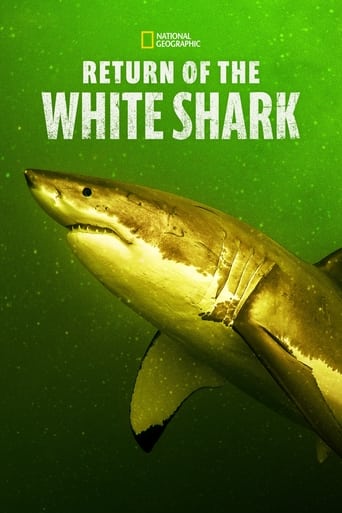 Return of the White Shark