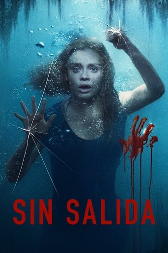 Poster of Sin salida